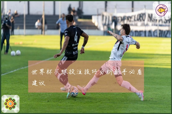 世界杯买球投注技巧分析新手必看建议