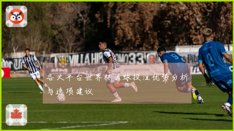 各大平台世界杯买球投注优势分析与选项建议