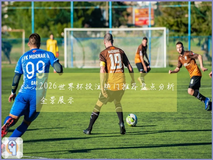 2026世界杯投注热门推荐盘点分析全景展示