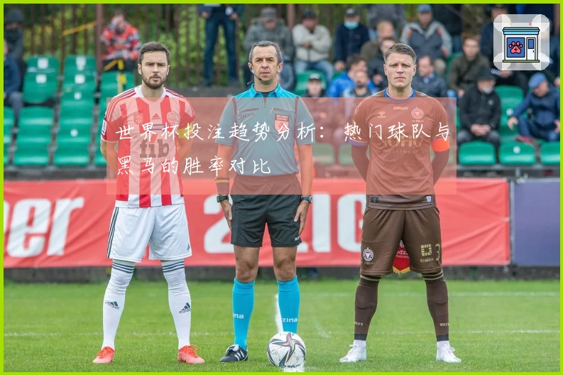 世界杯投注趋势分析：热门球队与黑马的胜率对比