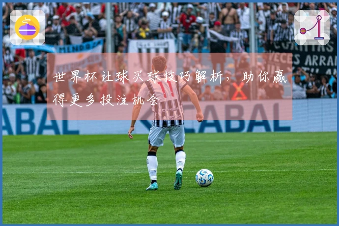 世界杯让球买球技巧解析，助你赢得更多投注机会