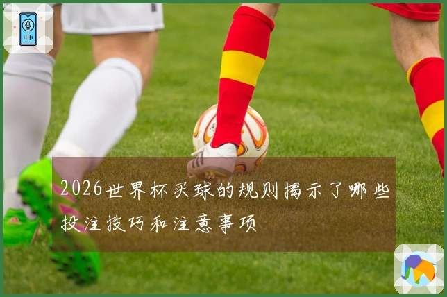 2026世界杯买球的规则揭示了哪些投注技巧和注意事项