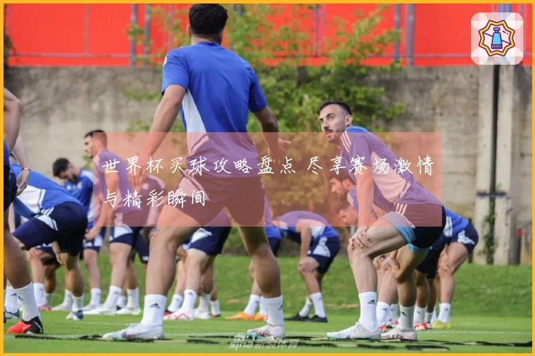 世界杯买球攻略盘点 尽享赛场激情与精彩瞬间