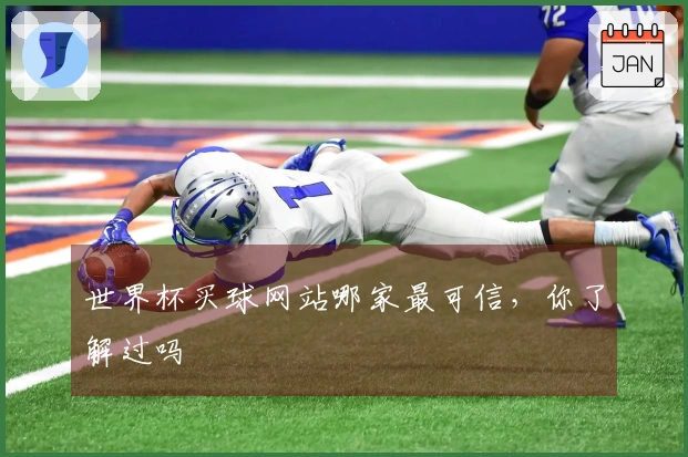 世界杯买球网站哪家最可信，你了解过吗