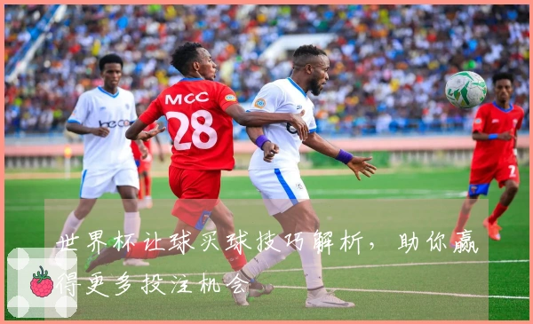 世界杯让球买球技巧解析，助你赢得更多投注机会