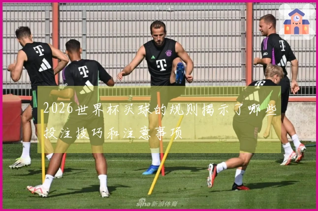 2026世界杯买球的规则揭示了哪些投注技巧和注意事项