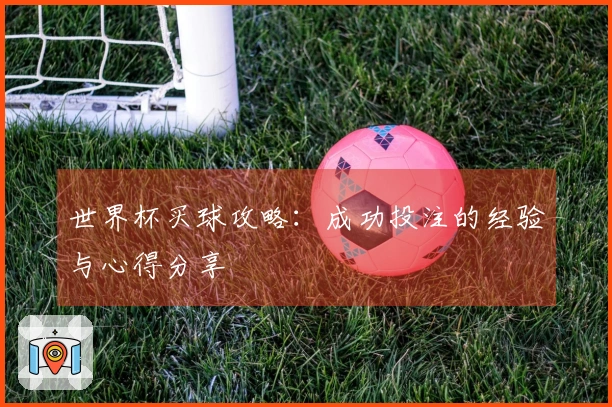 世界杯买球攻略：成功投注的经验与心得分享