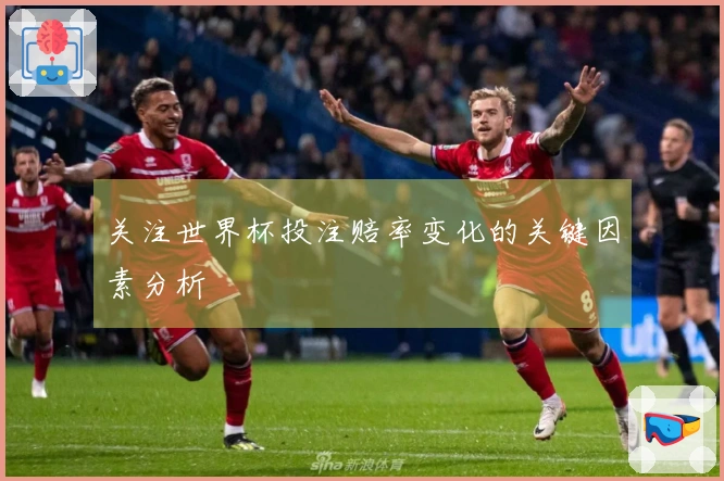 关注世界杯投注赔率变化的关键因素分析