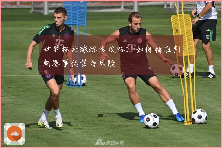 世界杯让球玩法攻略：如何精准判断赛事优势与风险