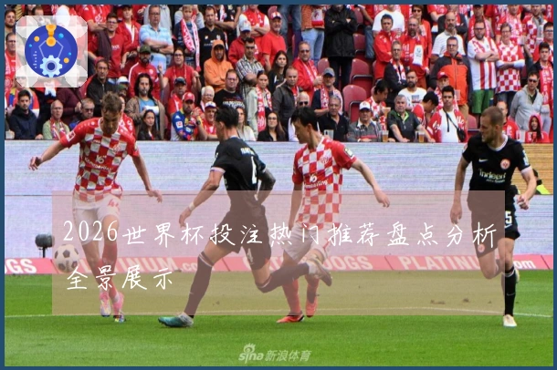 2026世界杯投注热门推荐盘点分析全景展示