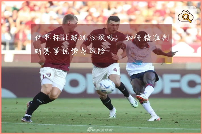 世界杯让球玩法攻略：如何精准判断赛事优势与风险